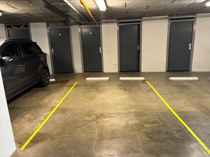 Photo 43 of Keizersmantel 355