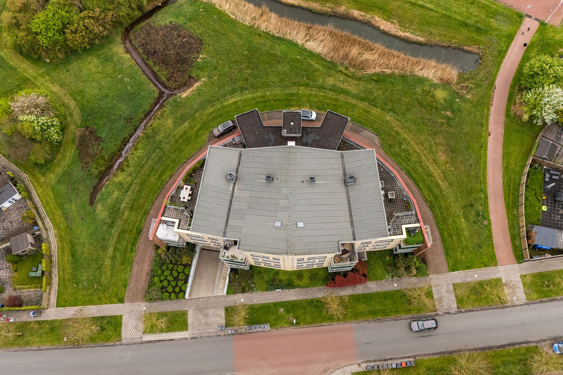 Foto 48 van Keizersmantel 355