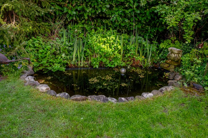 Foto 31 van Rozengaard 18 29