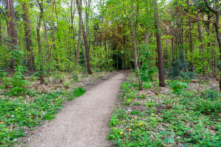 Foto 40 van Sporenring 228