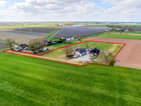 undefined main image