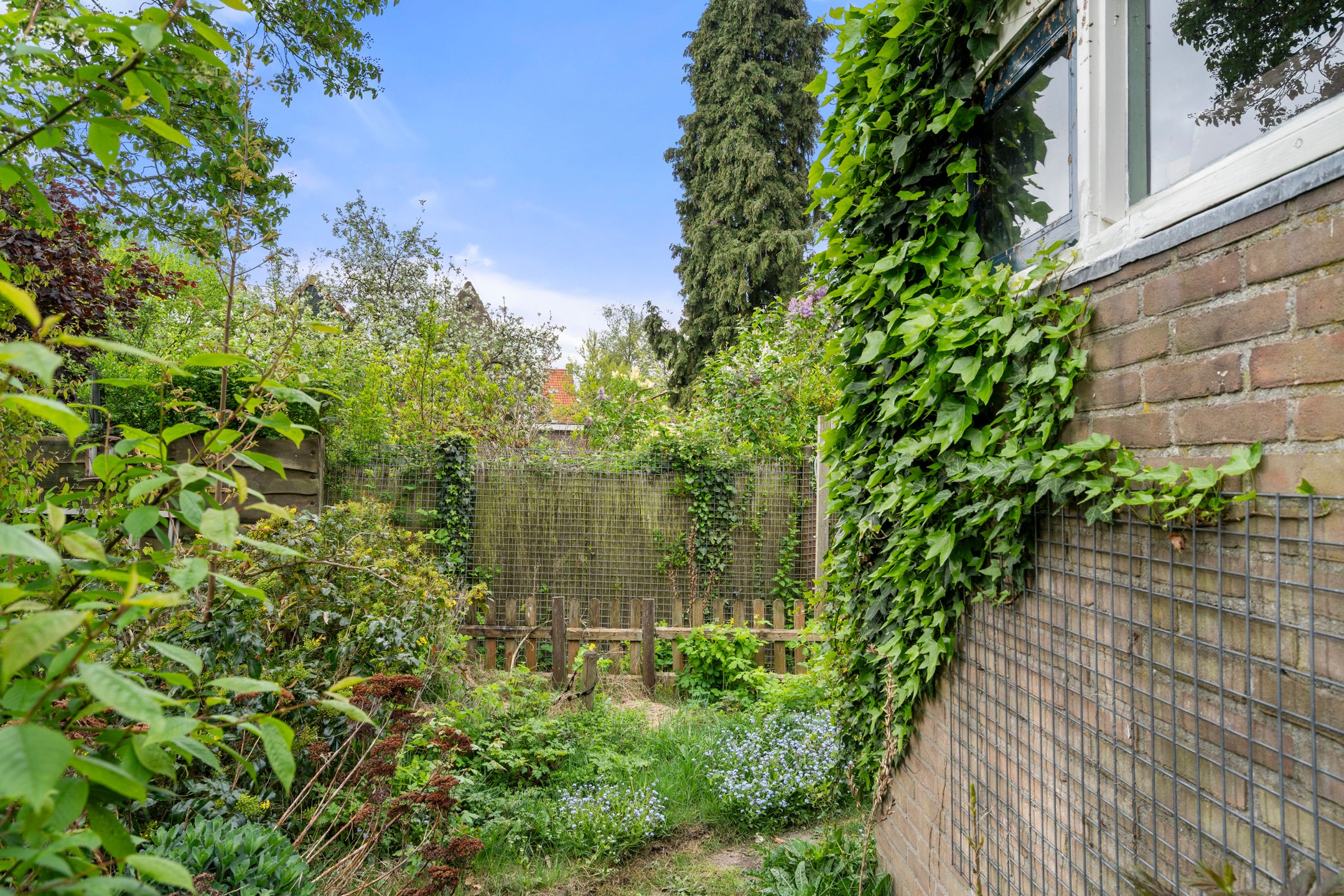 Photo 15 of Asserpark 14