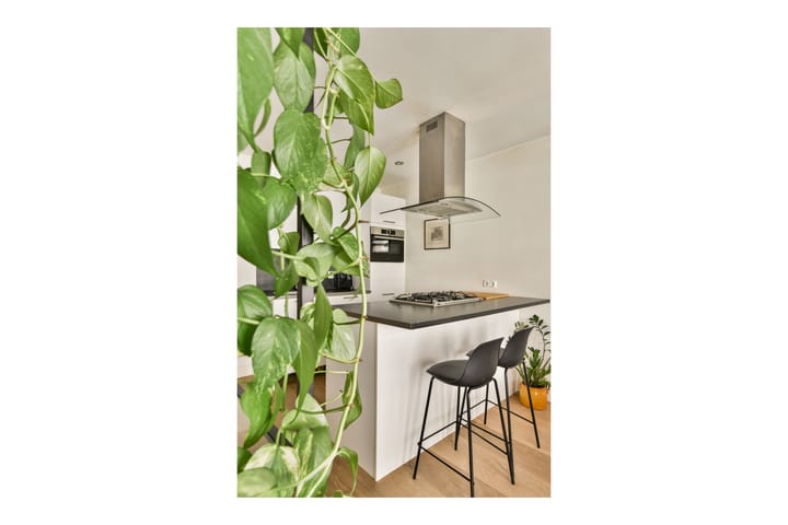 Foto 5 van Van Ostadestraat 188-1