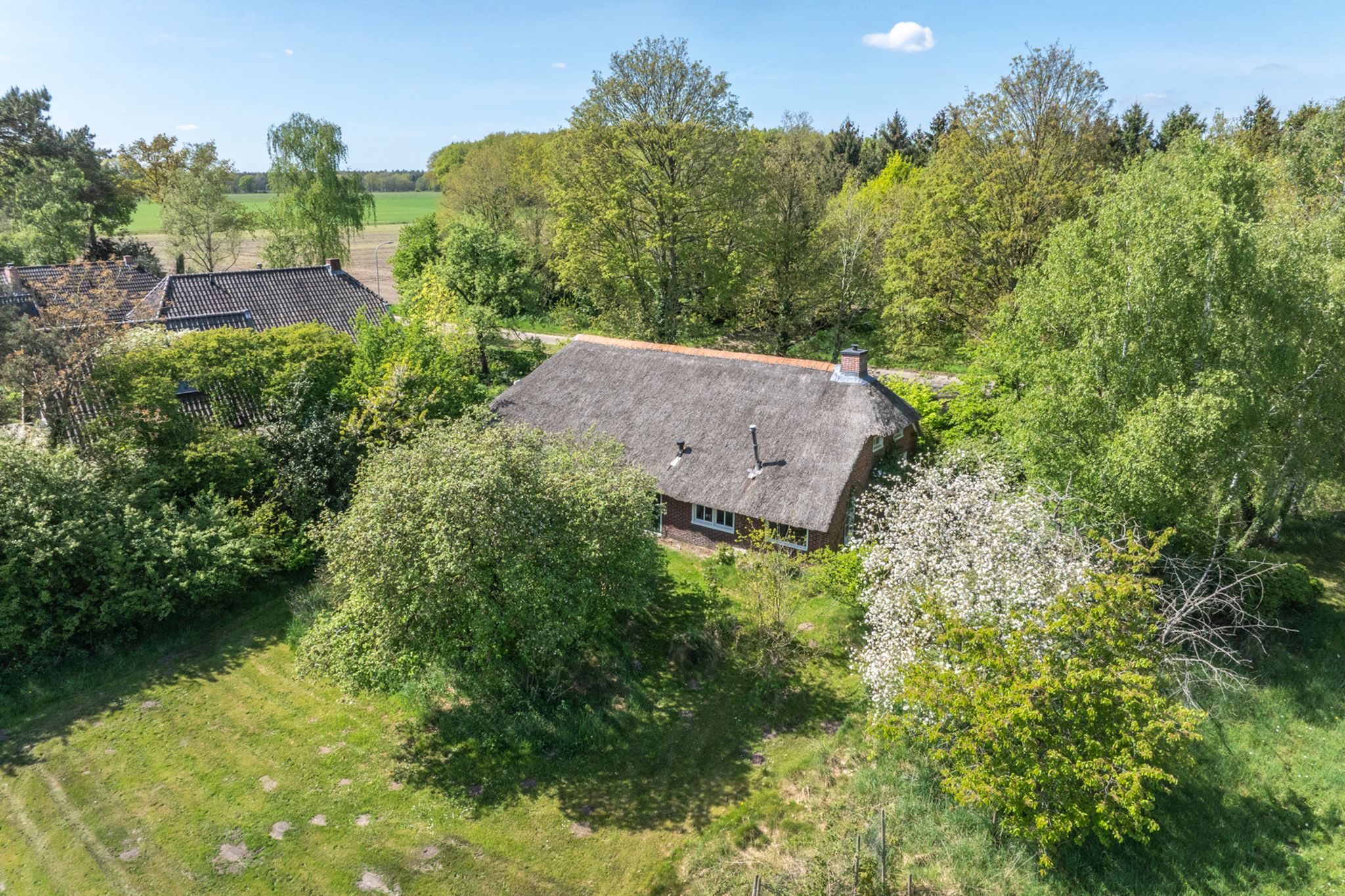 Foto 3 van Voorbosweg 9