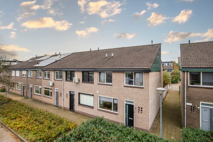 Foto 8 van Looyenland 35