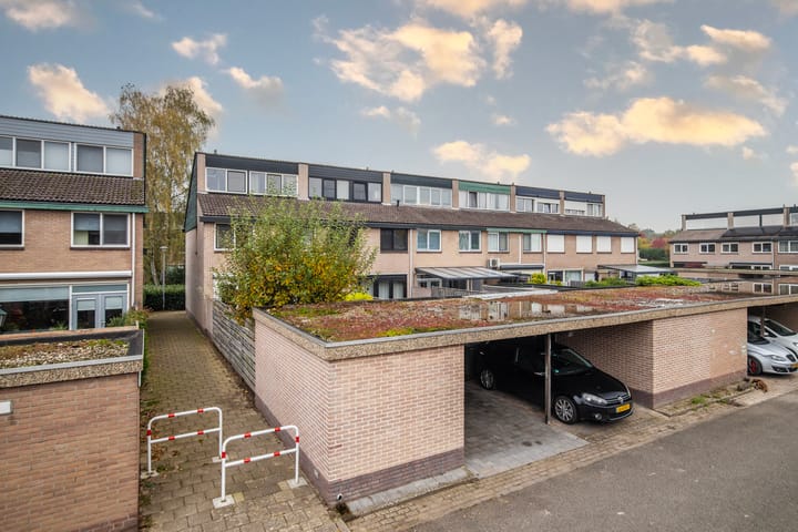 Foto 9 van Looyenland 35