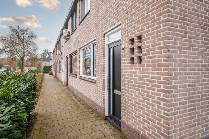 Foto 12 van Looyenland 35