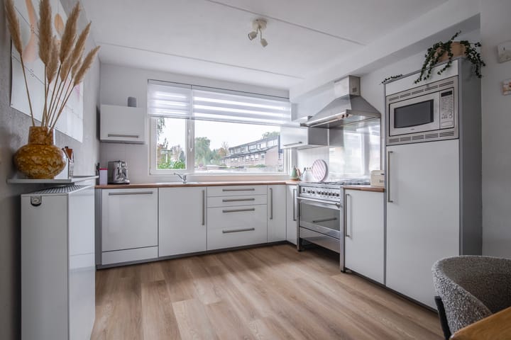 Foto 17 van Looyenland 35