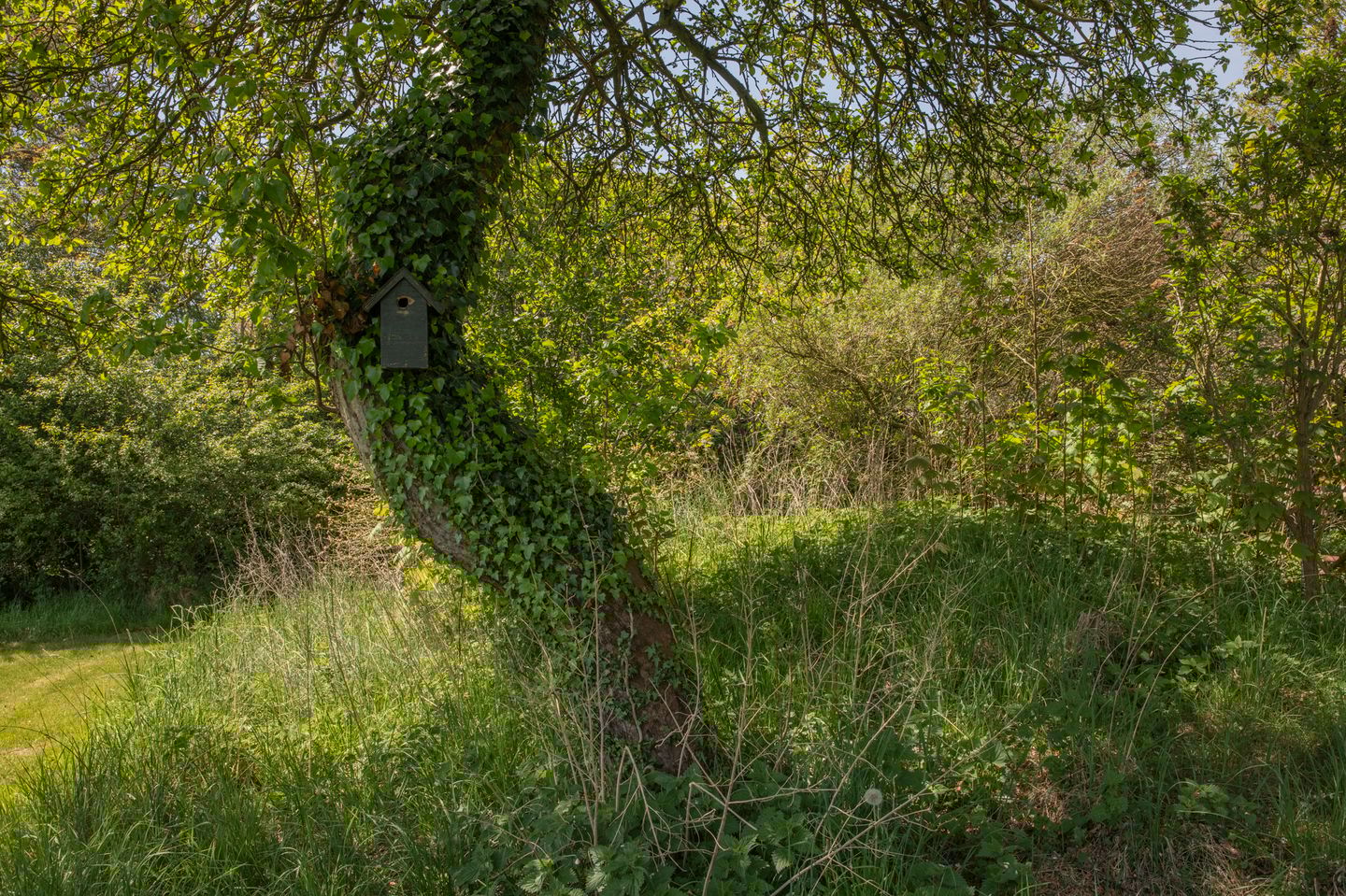 Foto 34 van Voorbosweg 9