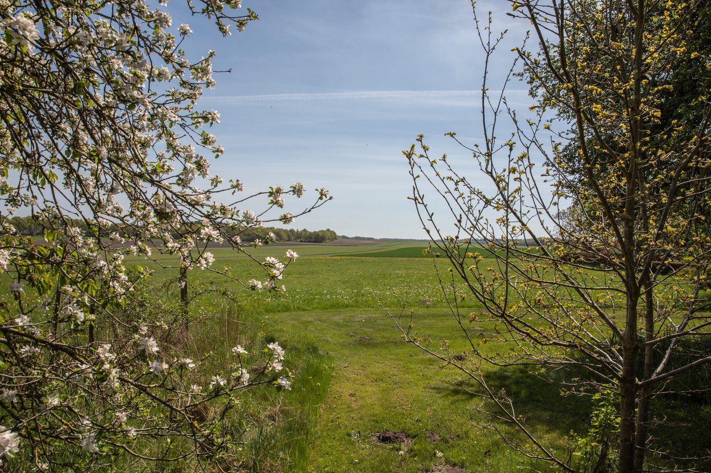 Foto 35 van Voorbosweg 9