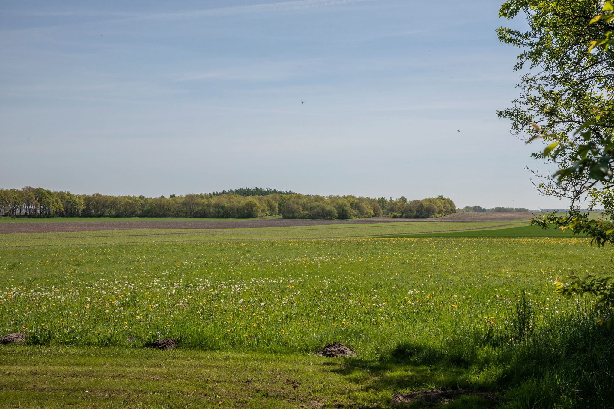 Foto 36 van Voorbosweg 9