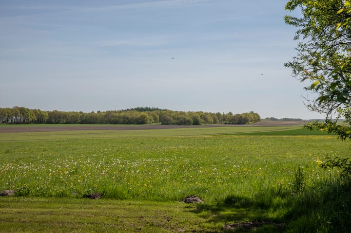 Foto 36 van Voorbosweg 9