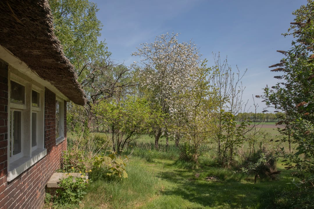 Foto 47 van Voorbosweg 9