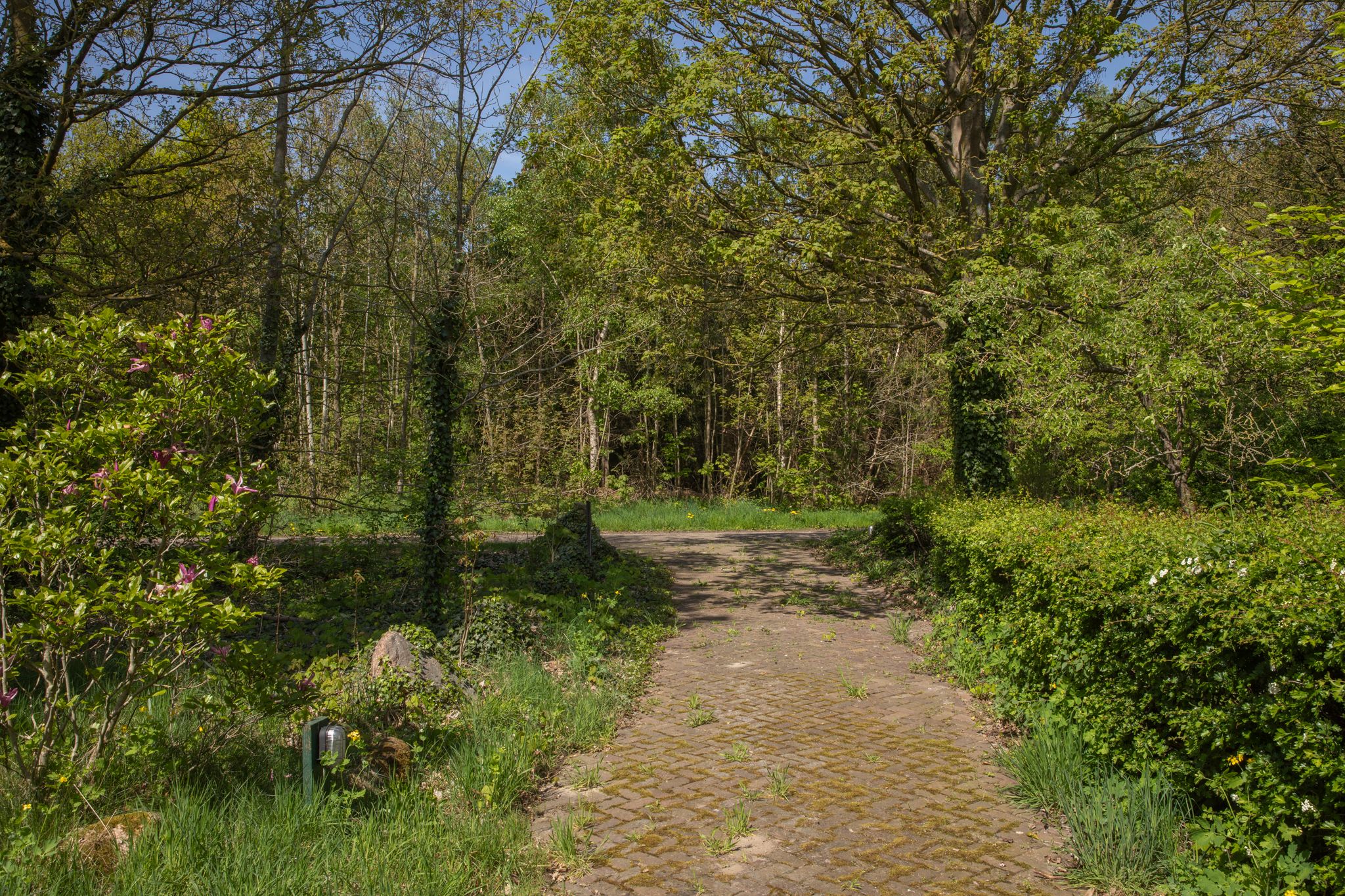 Foto 54 van Voorbosweg 9