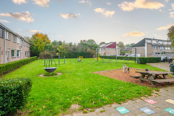 Foto 54 van Looyenland 35