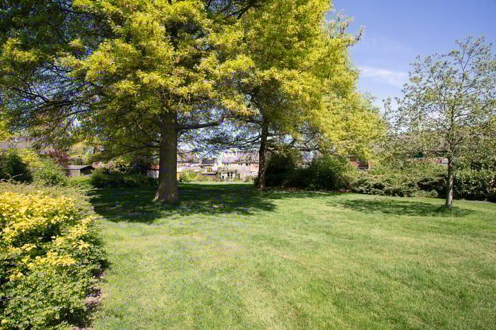 Foto 45 van Europa-ring 43