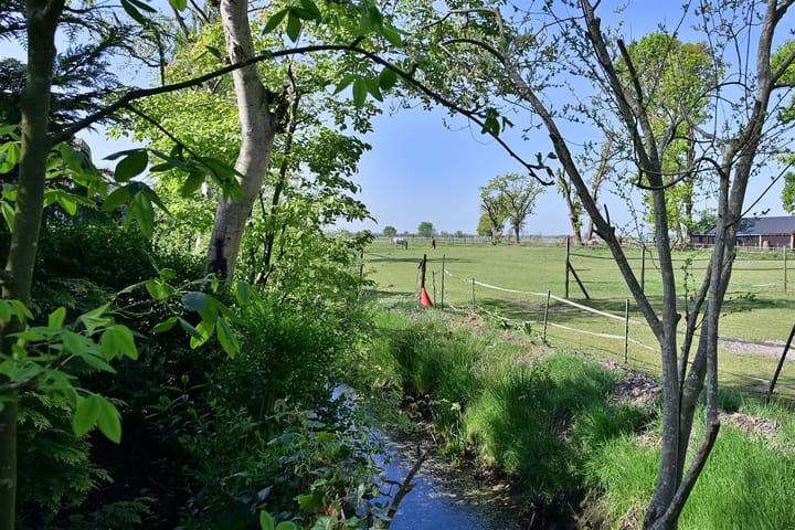 Foto 3 van Graaf Floris V weg 37-18