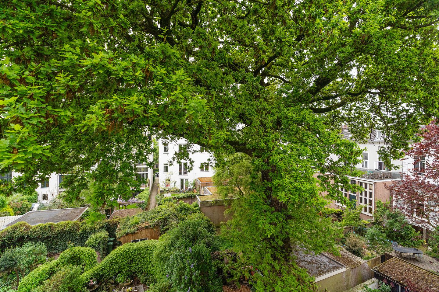 Foto 10 van Prins Hendrikstraat 38-2