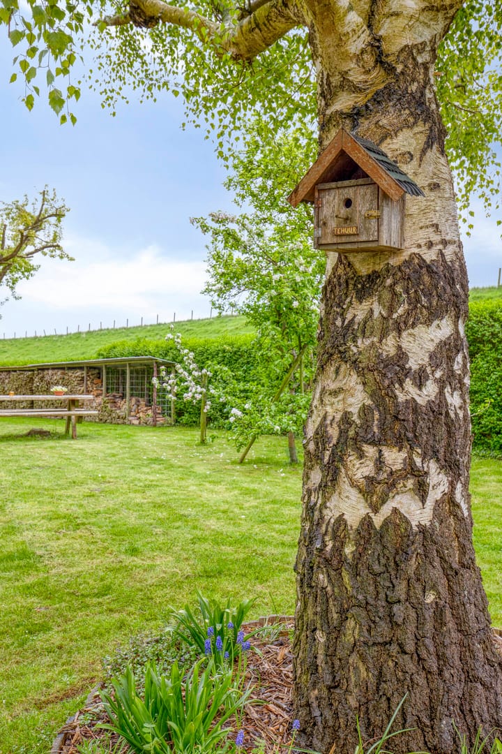 Foto 31 van Zeedijk 17