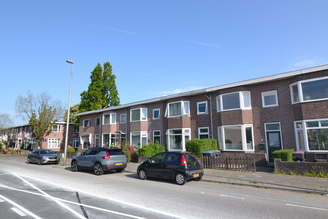 Foto 2 van Borniastraat 113