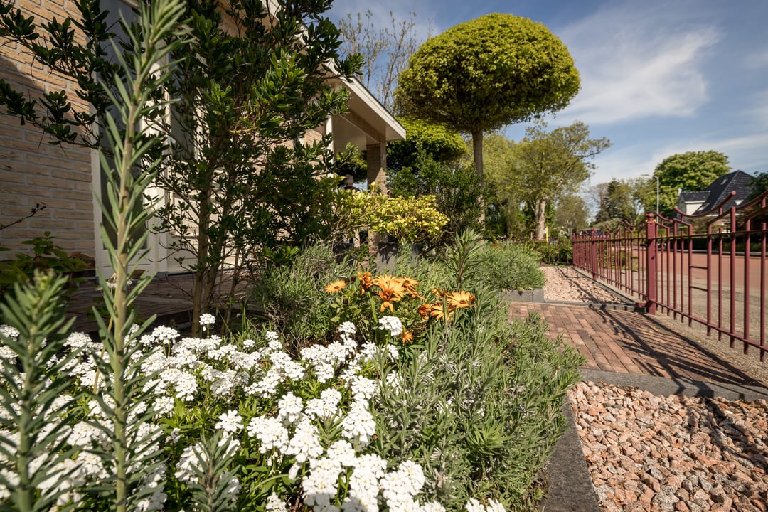 Photo 38 of Streekweg 307