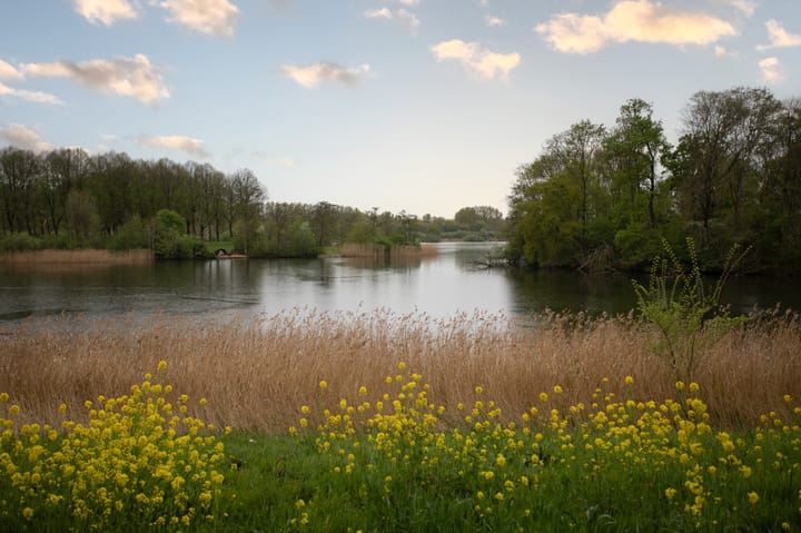 Foto 25 van Vergiliuslaan 12