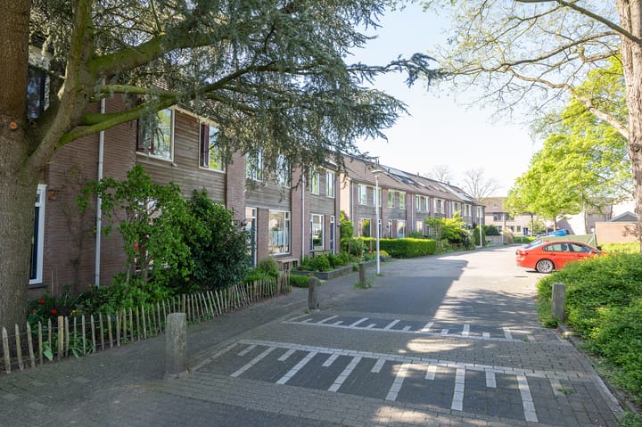 Foto 23 van Van Limburg Stirumware 20