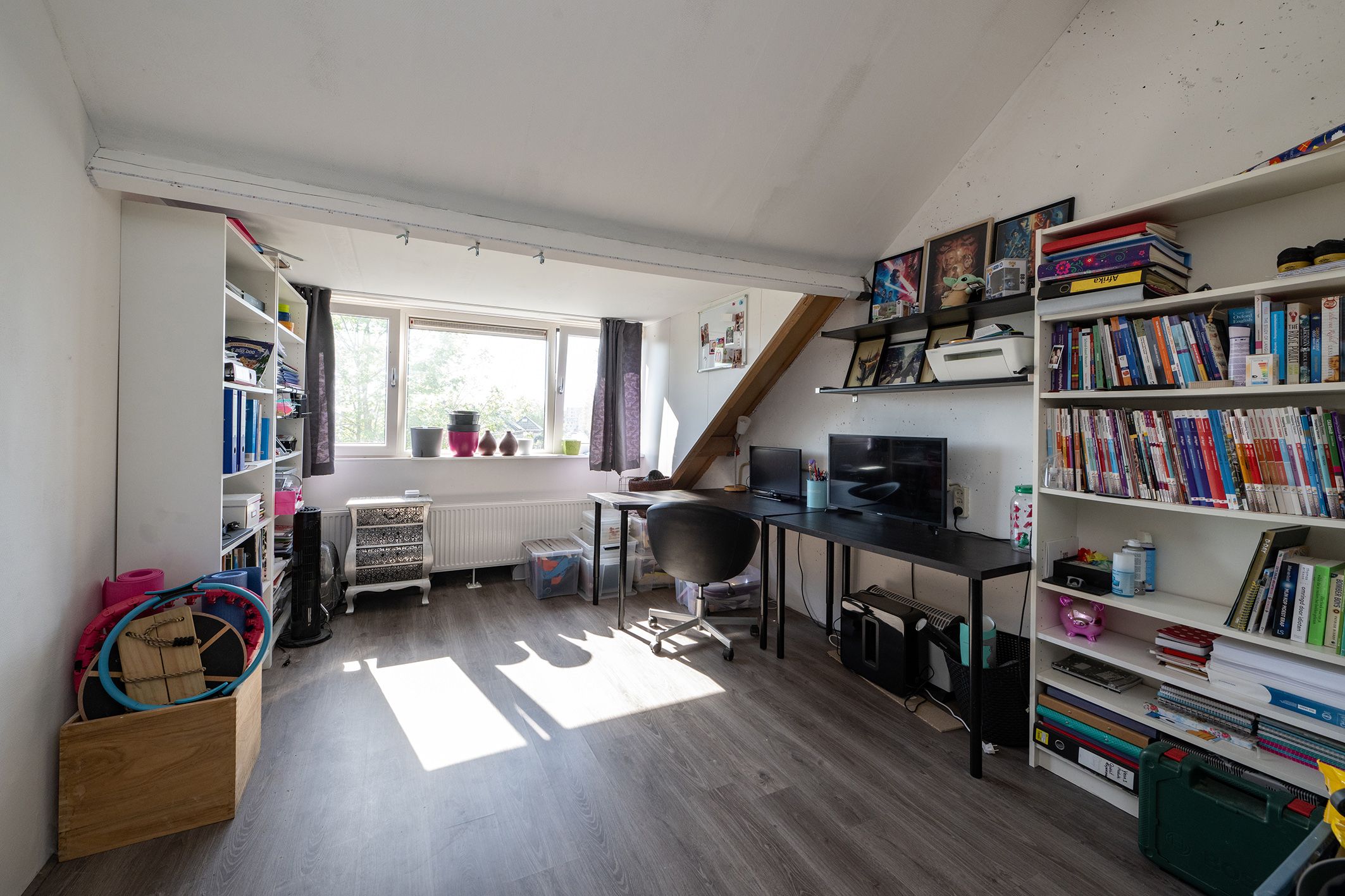 Photo 21 of Van Limburg Stirumware 20