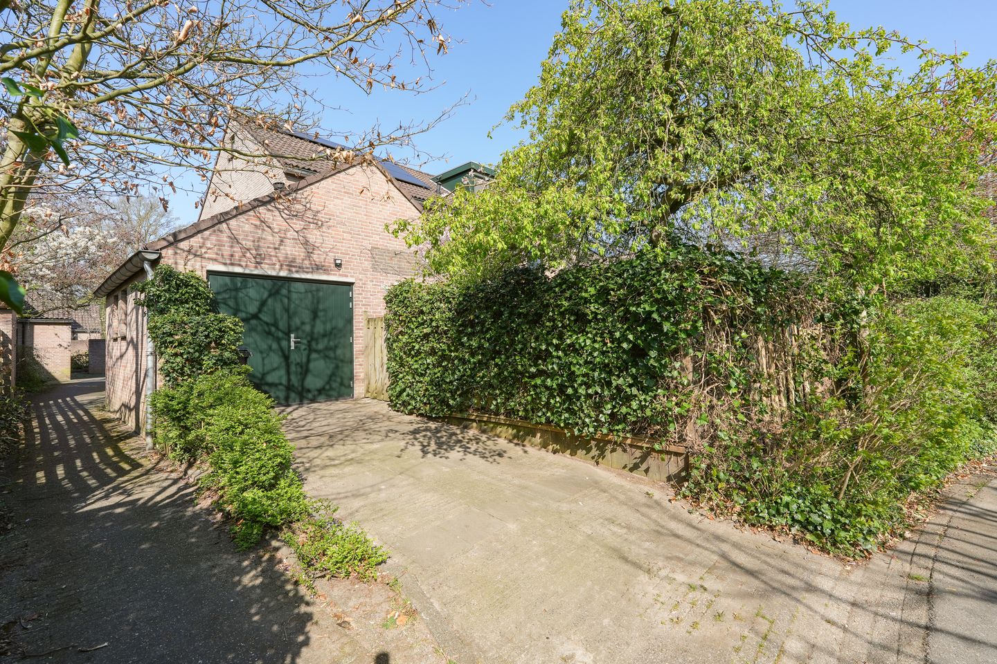 Foto 44 van Beukenlaan 18