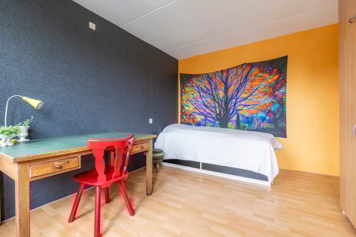 Foto 18 van Oudeveen 216