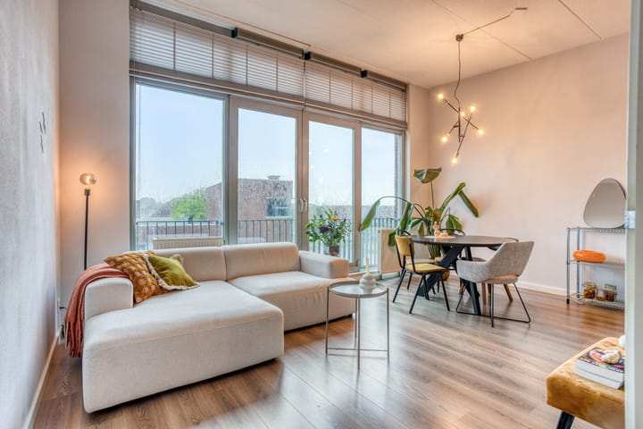 Photo 2 of Eekhoorn 3