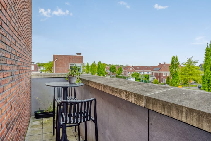 Photo 9 of Eekhoorn 3