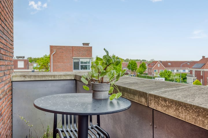 Photo 10 of Eekhoorn 3