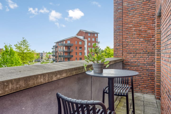 Photo 11 of Eekhoorn 3