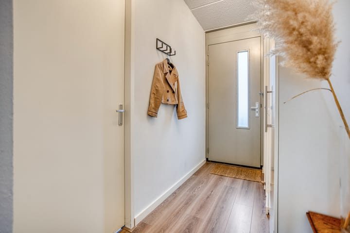 Photo 12 of Eekhoorn 3