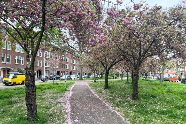 Foto 20 van De Savornin Lohmanlaan 71-B