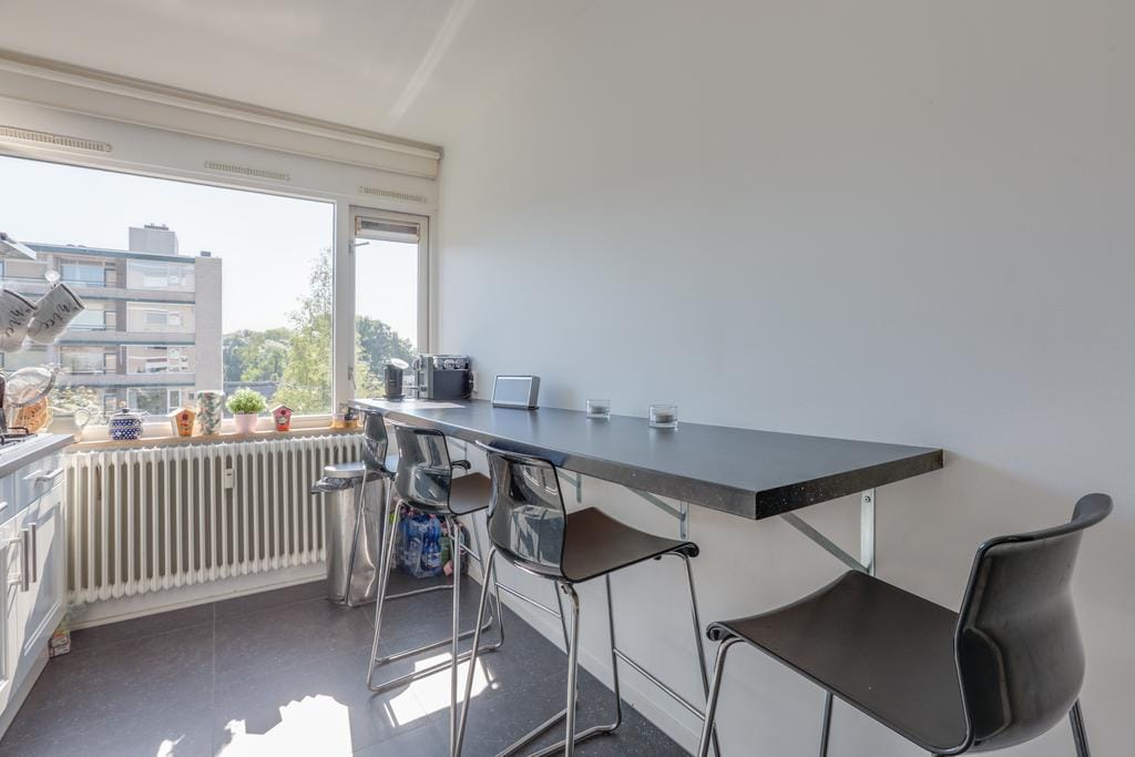 Foto 10 van Fruinplantsoen 21