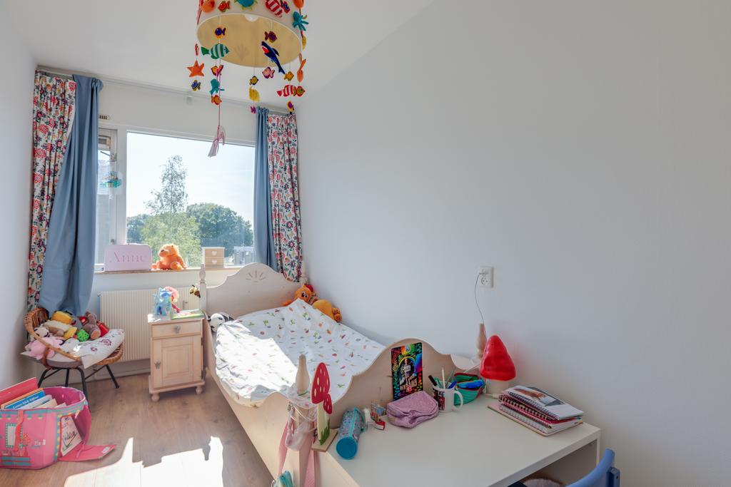 Foto 14 van Fruinplantsoen 21