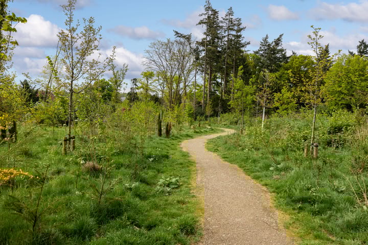 Foto 49 van Koningin-Julianalaan 94