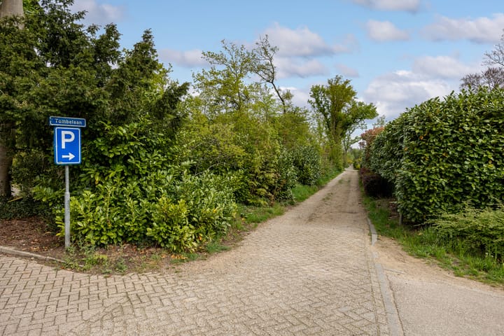 Foto 50 van Koningin-Julianalaan 94