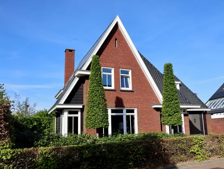 Foto 2 van Speenkruid 1