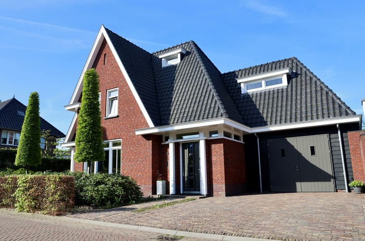 Foto 3 van Speenkruid 1