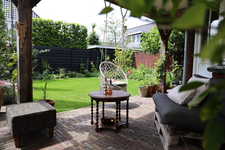 Photo 48 of Speenkruid 1