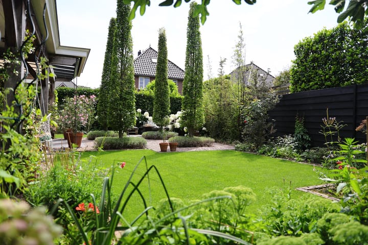 Photo 51 of Speenkruid 1