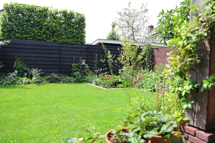 Photo 52 of Speenkruid 1