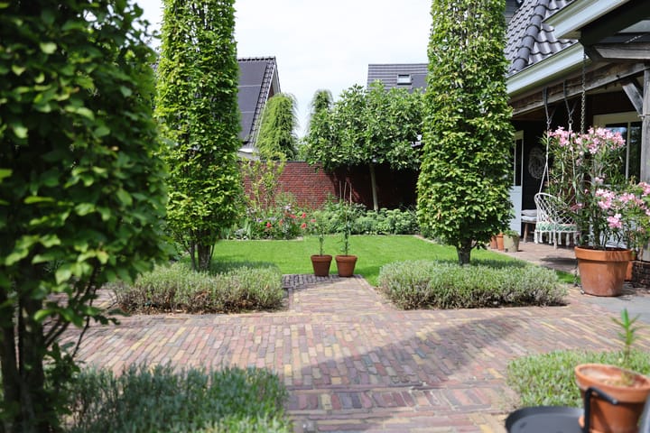 Photo 53 of Speenkruid 1