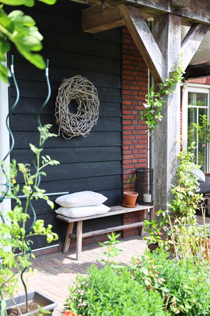 Photo 56 of Speenkruid 1