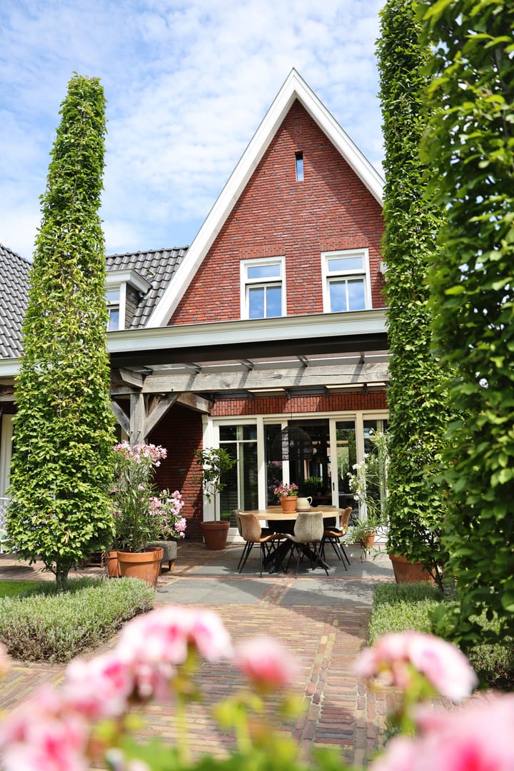 Photo 57 of Speenkruid 1