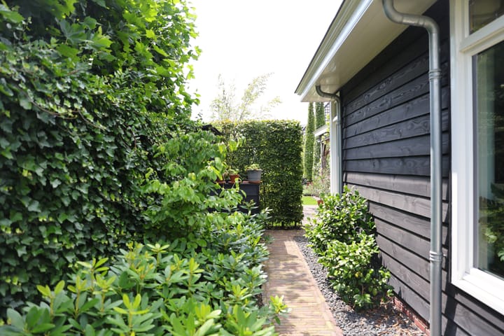 Photo 59 of Speenkruid 1