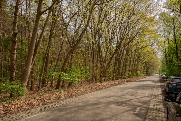 Foto 63 van Leeuwerikstraat 64